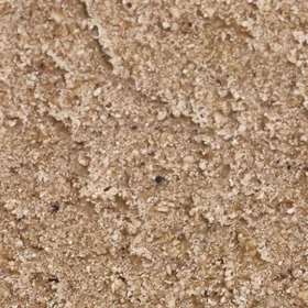 Échantillon Wasterial® - Coquilles d'huîtres : grain beige sableux, fragments coquillers visibles.