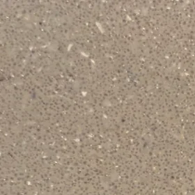 Échantillon Wasterial® - Travertin : grain beige-taupe poreux, petites inclusions claires.